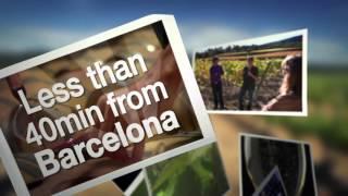 Penedès Wine Tourism Barcelona