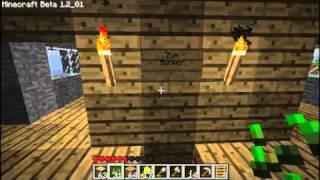 Unser Minecraft Dorf (Multiplayer)