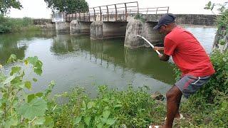 Best Hook Fishing Video|Fishing for Indian Baam & Tilapia To Catch With Small Hook|Unique Fishing