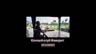 #верховаяезда #конныйклуб