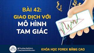 Bài 42: Hướng Dẫn Giao Dịch Forex Với Mô Hình Tam Giác | Đầu Tư Forex Nâng Cao | Học Forex Online