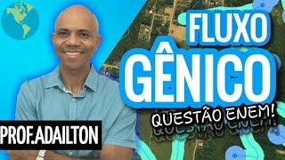 FLUXO GÊNICO (GENÉTICA) | Biologia Plena