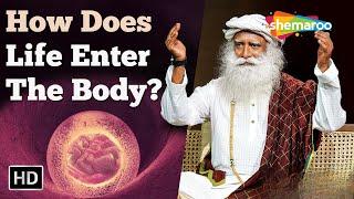 How Does Life Enter The Body Sadhguru Answers | Sadhguru | Shemaroo Spiritual Life