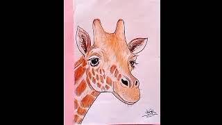 Giraffe Amazing Drawing art channel 20k