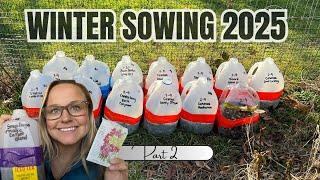 Winter Sowing 2025: Planting the Seeds! Part 2 | The Southern Daisy