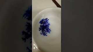 신기한영상