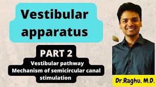 Vestibular apparatus - Part 2 (Vestibular pathway)  #mbbs #physiology