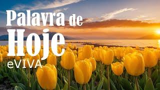 PALAVRA DO DIA 07 DE AGOSTO DE 2024 | DEVOCIONAL DIÁRIO | MOTIVACIONAL E REFLEXÃO DE VIDA eVIVA