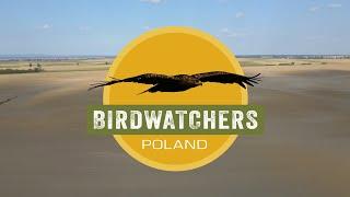 Birdwatchers Poland documentary