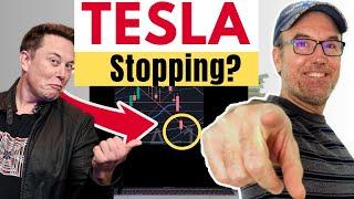 Is Tesla Stock About to Make a Surprising Comeback?