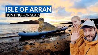 Come Explore Arran And Spot Some Seals! Vanlife Scotland