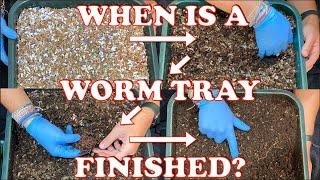 When Is A Worm Tower Ready For Another Tray On Top? | Vermicompost Worm Farm