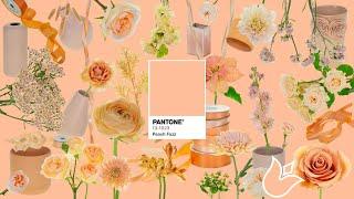 Teacher Leanne Shares a Look at the 2024 Pantone Color of the Year