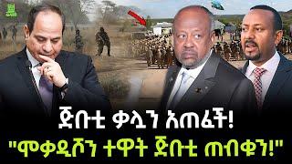 ጅቡቲ ቃሏን አጠፈች ተረክ ሚዛን Salon Terek