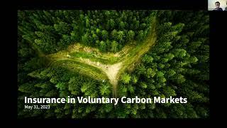 Policy Practicum: Structuring Effective Carbon Markets | SFI