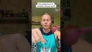 Как избавиться от комаров?! #лайфхаки #обучение #советы #рецепты #комары #лето #рек #bobbygrant690