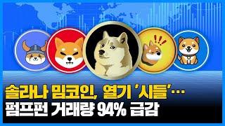 솔라나 밈코인, 열기 '시들'…펌프펀 거래량 94% 급감