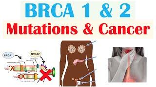 BRCA1 and BRCA2 Mutations & Cancer (Types of Cancer, and Who’s Most At Risk)