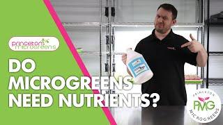 Do Microgreens NEED Nutrients?