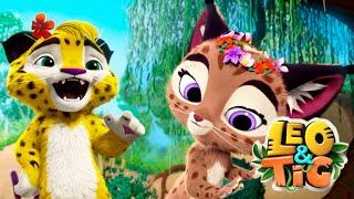 Leo and Tig  Episode 21 - New animated movie - Kedoo ToonsTV