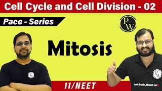 Cell Cycle and Cell Division 02 -  Mitosis | Class 11 | CBSE | NCERT | NEET