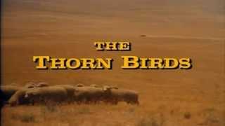 Henry Mancini - "The Thorn Birds" Theme (가시나무 새) ...aaa (Instrumental) (HD)  [Keumchi - 韓]
