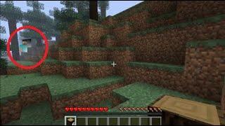 Herobrine real sighting