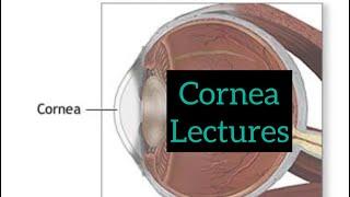 Cornea lectures part 1, Eye lectures / Jatoi / Opthalmology lectures #eyelectures #cornea #eye