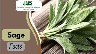 Sage Facts | Salvia officinalis