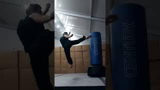 Martial arts at a new level! #tricking