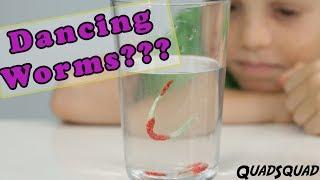 Dancing Gummy Worms - A Fun Science Experiment