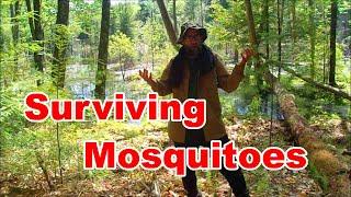 Surviving Mosquitoes in Deep Woods and Swamps-  Bushcraft / Survival