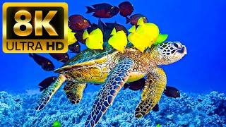 Океан - 8K (60 кадров в секунду) Ultra HD - со звуками природы (