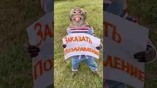 Поздравления для Ваших близких.  Смотрите комментарии.        #happybirthday