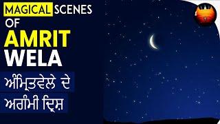 ਅੰਮ੍ਰਿਤਵੇਲੇ ਦੇ ਅਗੰਮੀ ਦ੍ਰਿਸ਼ - MAGICAL SCENES OF AMRIT WELA │BachittarNet