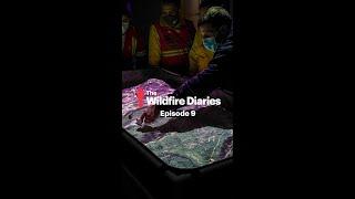 The Wildfire Diaries - Episode IX - Pau Costa Foundation