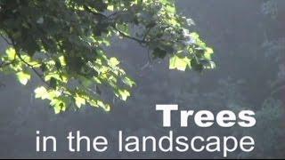 Trees in the Landscape by PETER WOOLLEY (DVD Trailer)