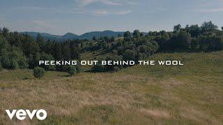 Flatland Cavalry - Wool (Official Lyric Video) (Inspired by The Hunger Games)