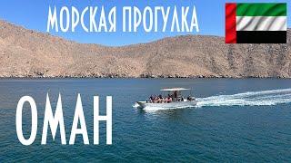 ОАЭ | Оман | Мусандам морской круиз | Плюсы и минусы
