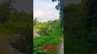 Beautiful Nature in Bangladesh