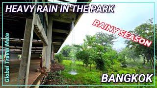 BANGKOK Rainy Season HEAVY RAIN Central Forest Park  Thailand Monsoon