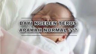 BAYI NGEDEN TERUS, BAHAYA GAK ?? || KENAPA BAYI SERING TERLIHAT NGEDEN ??