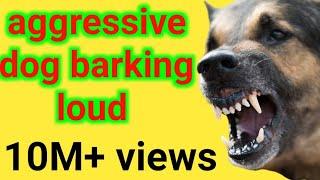 Dog Barking Sound | Dog Sounds Angry | Dog Barking | Dog Sound