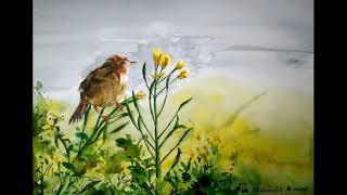 How to watercolor painting bird. BD Watercolor / Bangla art