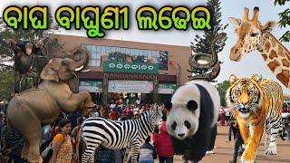 Nandankanan Zoological Park // 3rd Largest Zoo Of India  // Bhubaneswar #nandankanan