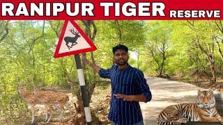 Ranipur Tiger Reserve (UP)  