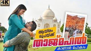 ആയിരം രൂപക്ക് താജ് മഹൽ കാണാന്‍ പോകാം | Taj Mahal Malayalam Video | Agra Fort | Agra Tourist Places