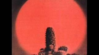 cactus- parchman farm 1970