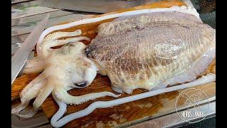 CUTTLEFISH How to clean & process  || quick & easy cuttlefish recipe