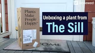 Watch us Unbox a Plant from The Sill